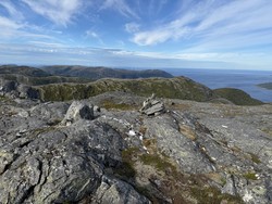 Finnkoiliheia