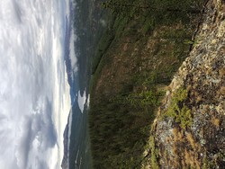Eldbjørshaugen