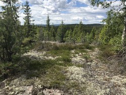 Sølvtjernshøgda