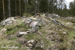 Dyrgåstjennet vest