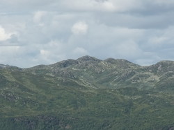 Vardenutane