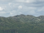 Vardenutane