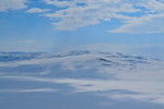 Høggøymen
