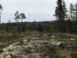 Korpåsen Sør