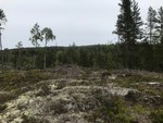 Korpåsen Sør
