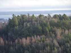 Veierudåsen