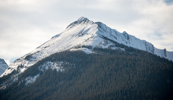 Commonwealth Ridge