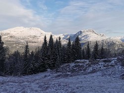 Øvstestølen