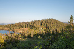 Henriksåsen