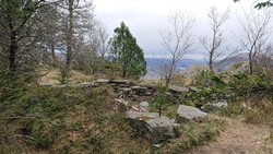 Fredheim (ruin)