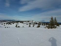 Toftfjellet