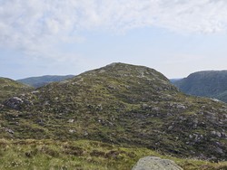 Skrenuten