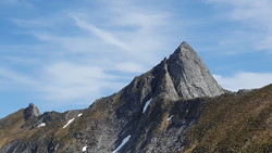Høgehornet