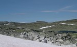Gyrinostinden