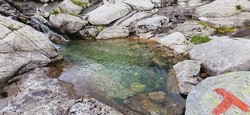 Badeplass