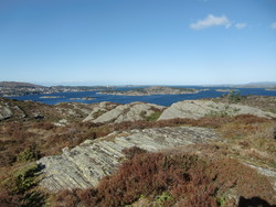 Beinhaugen