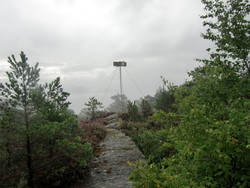 Ølveshovda