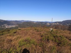 Hådyret