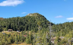 Toskardfjellet Øst