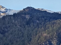 Grånuten