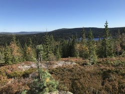 Trehjørningsbrenna