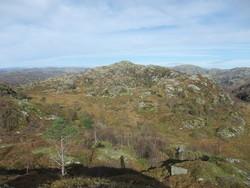 Grønlandsknuten