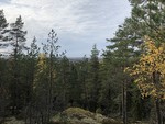 Männistönmäki