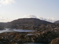 Nøvlenuten