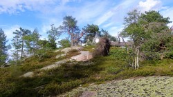 Øst for Hoggskollen
