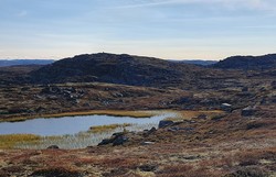 Ræpeholåsen trig.punkt
