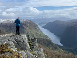 Rødsnuten