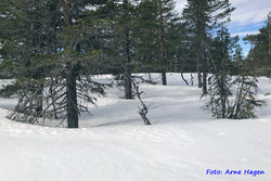 Gråberget NV