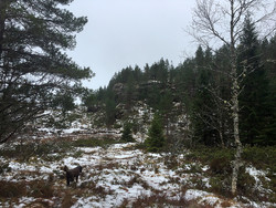 Raudehaugen