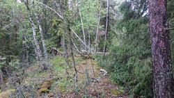 Loreåsen