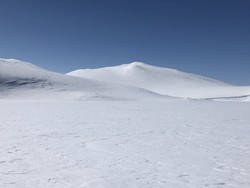 Borgundseinaren