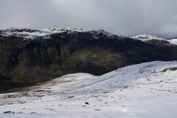 Vardeggene