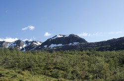 Skromsnuten