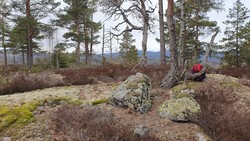 Brudalskollen