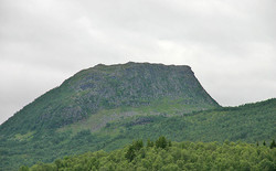 Hinnstein