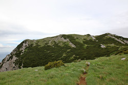Vaganski Vrh