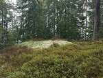 Nordre Ringkollen