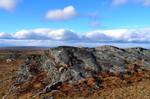 Russutangen