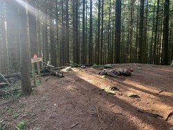 Storevarden