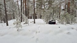 Lundeåsen