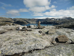 Såta
