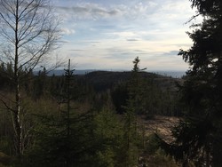 Kjekshushaugen