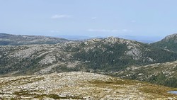 Gullklumpen