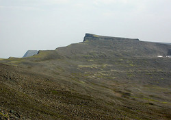 Skardsheidi