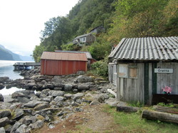 Grautåni