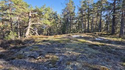 Suggkjerrheia